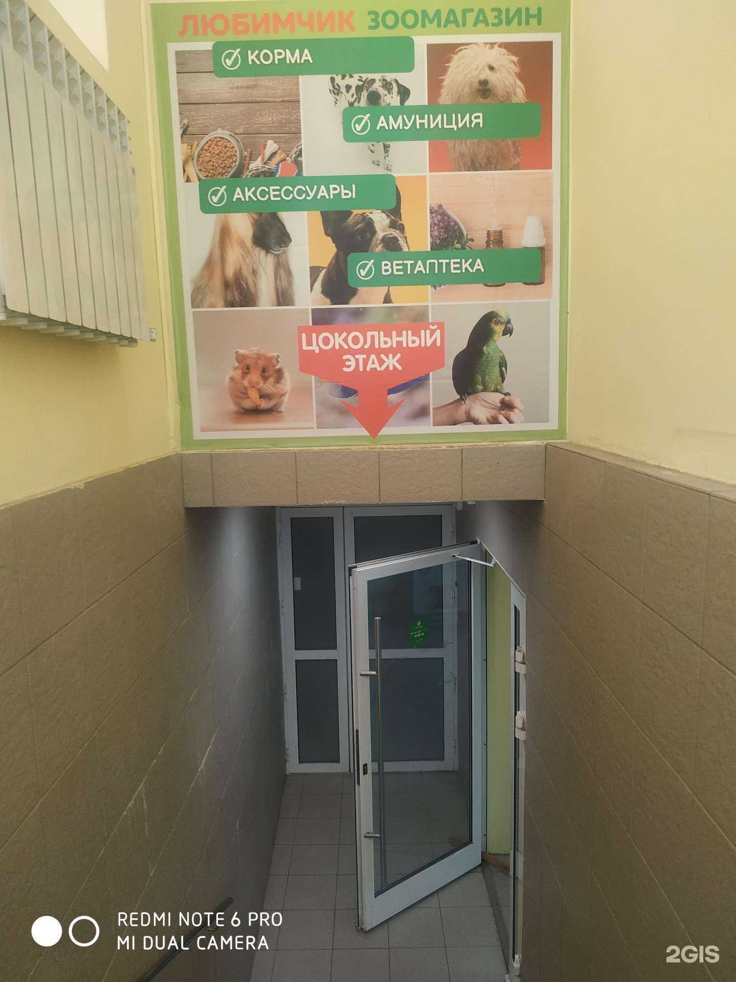 Отзывы на компанию Любимчик в г. Новокуйбышевск c фото