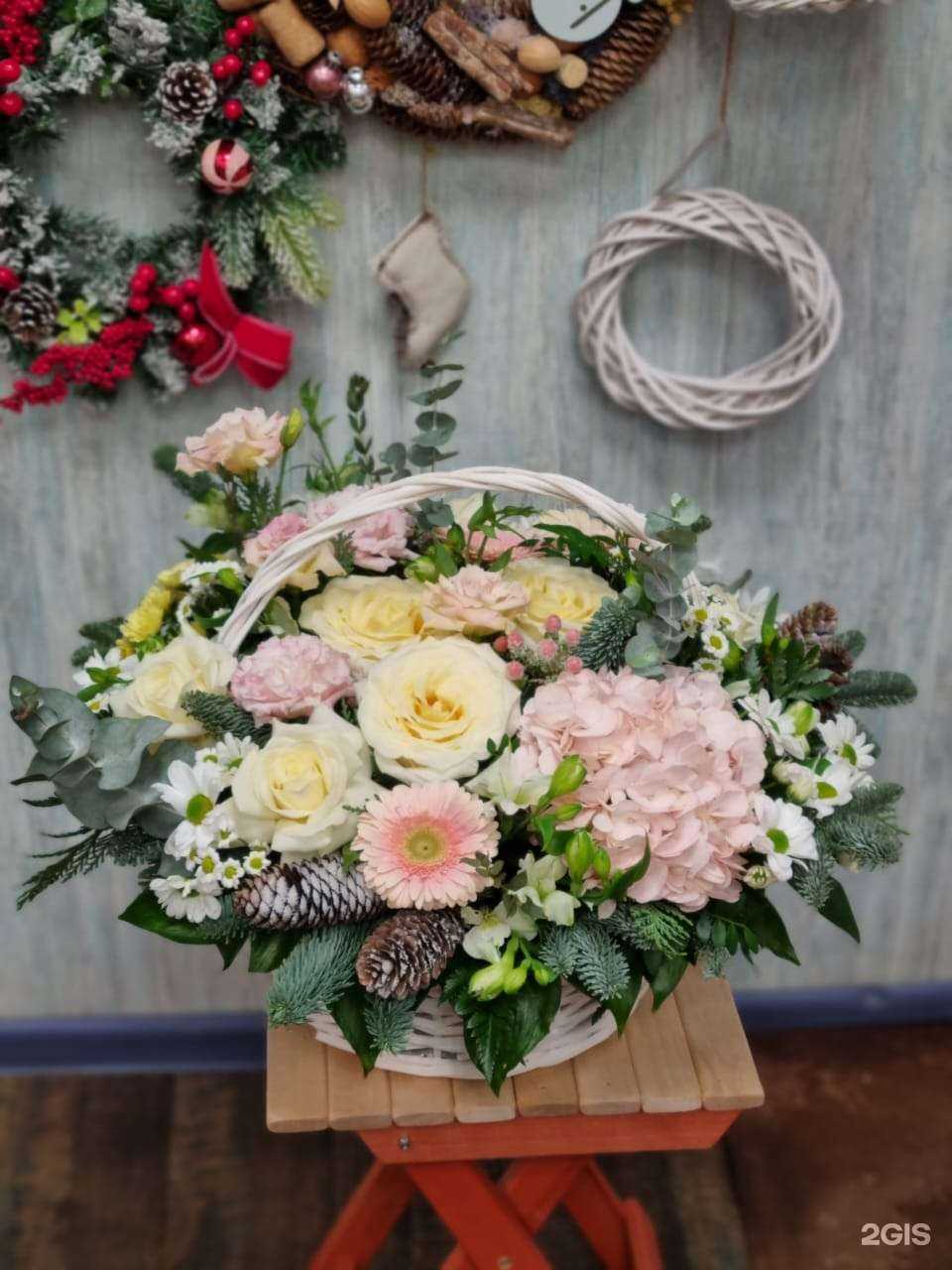 Отзывы на компанию Stebel в Самаре c фото