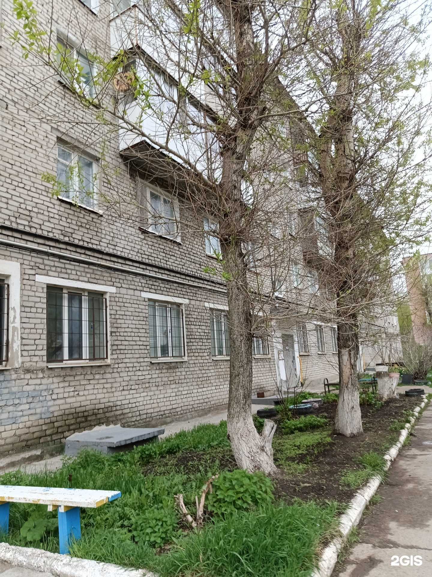 Отзывы на компанию Цветочный дом в Соликамске c фото - фотография 2 из 2