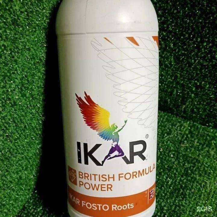 Отзывы на компанию Семена в Таганроге c фото