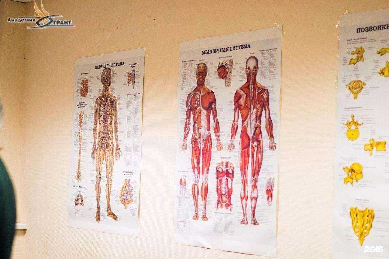 Отзывы на компанию Оптима в Челябинске c фото