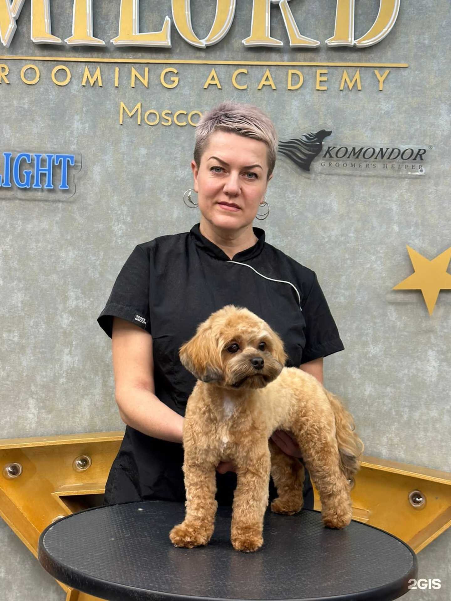 Отзывы на компанию Груминг-Невинка в г. Невинномысск c фото
