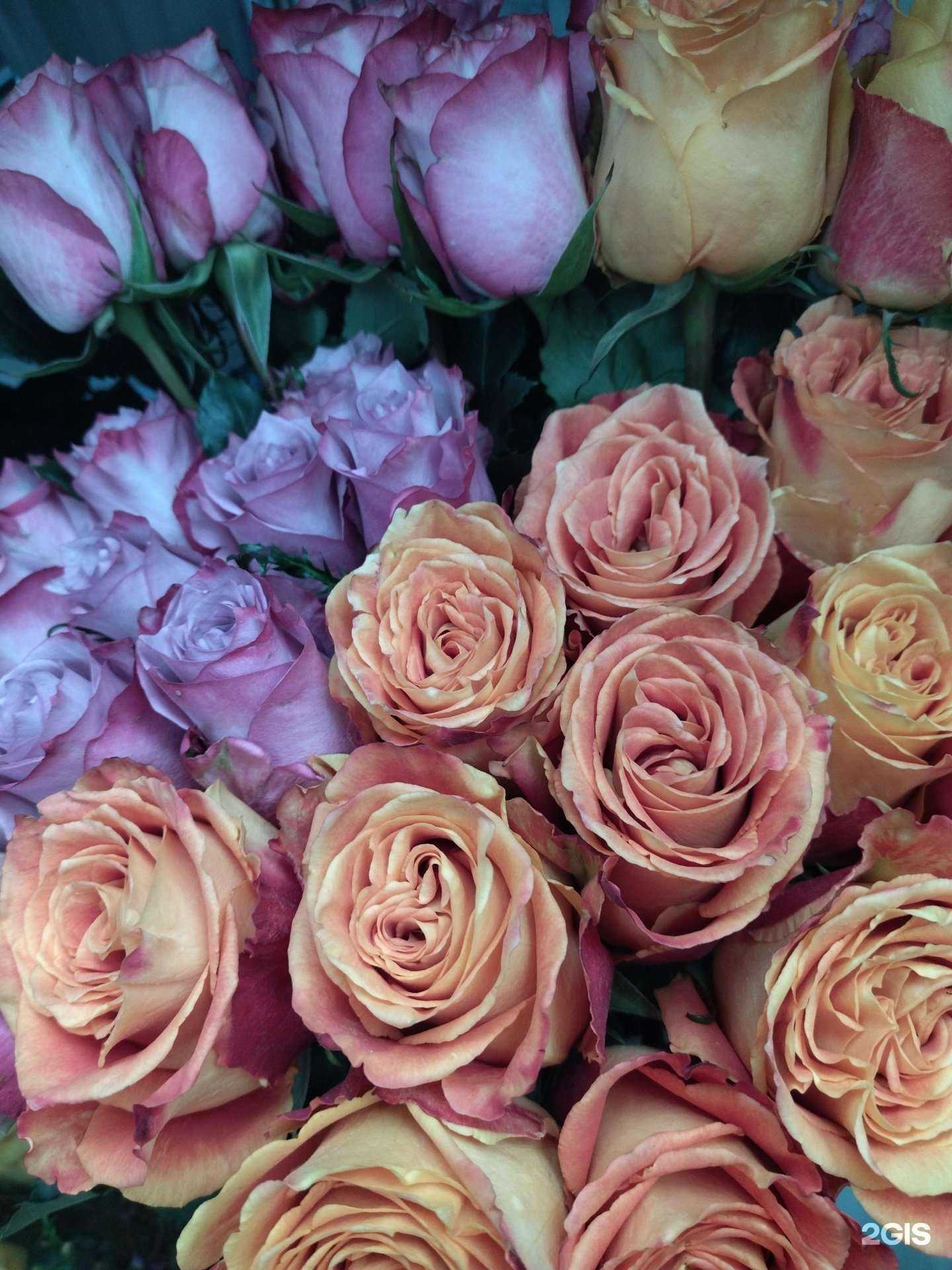 Отзывы на компанию Городская цветочная база в Междуреченске c фото