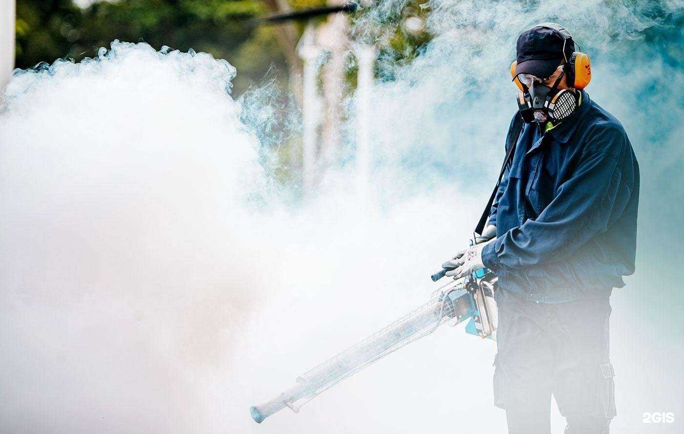 Отзывы на компанию Регион СЭС в Кемерове c фото