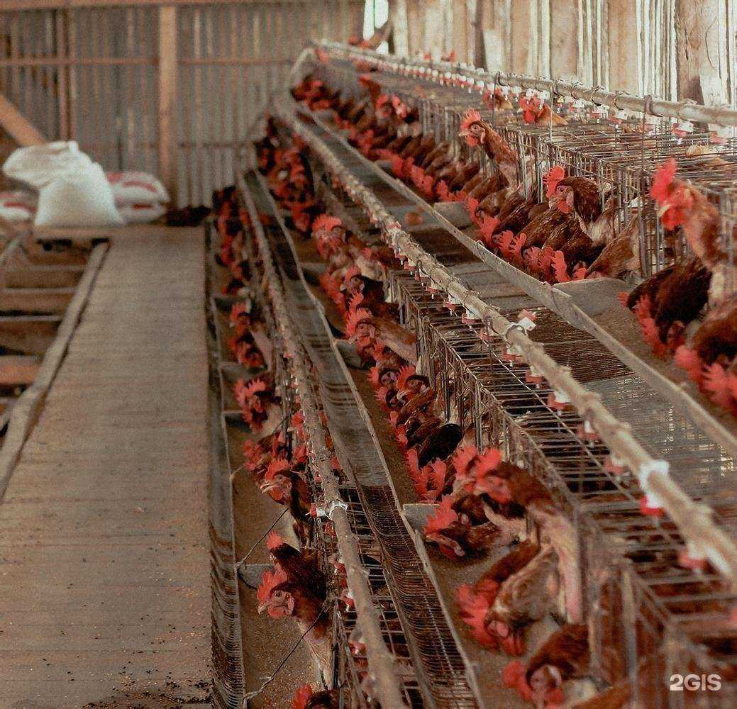 Отзывы на компанию Персональное решение в Новокузнецке c фото