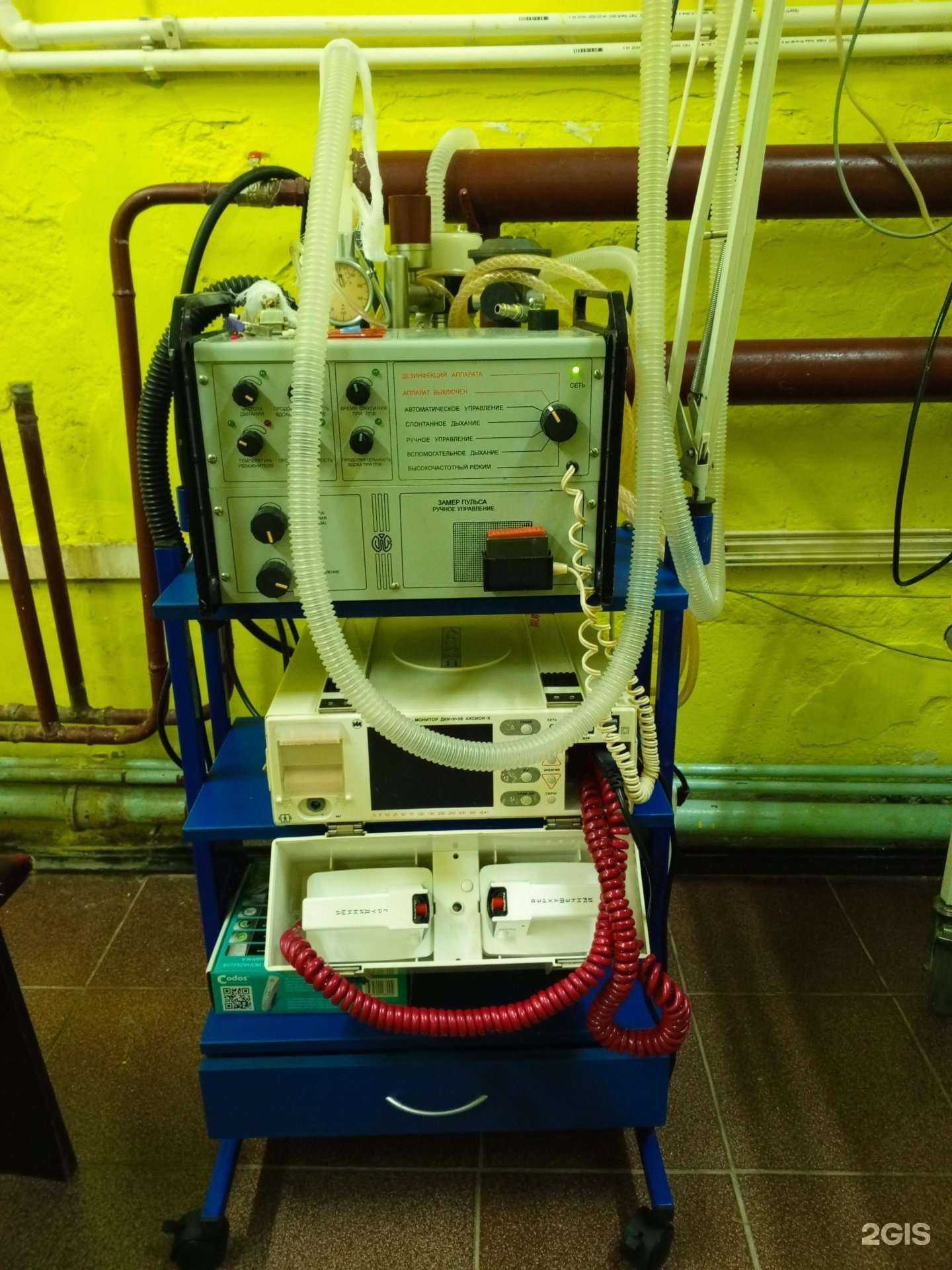 Отзывы на компанию Vet line в Черногорске c фото