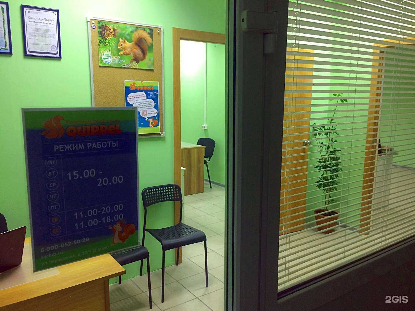 Отзывы на компанию Squirrel в Новокузнецке c фото