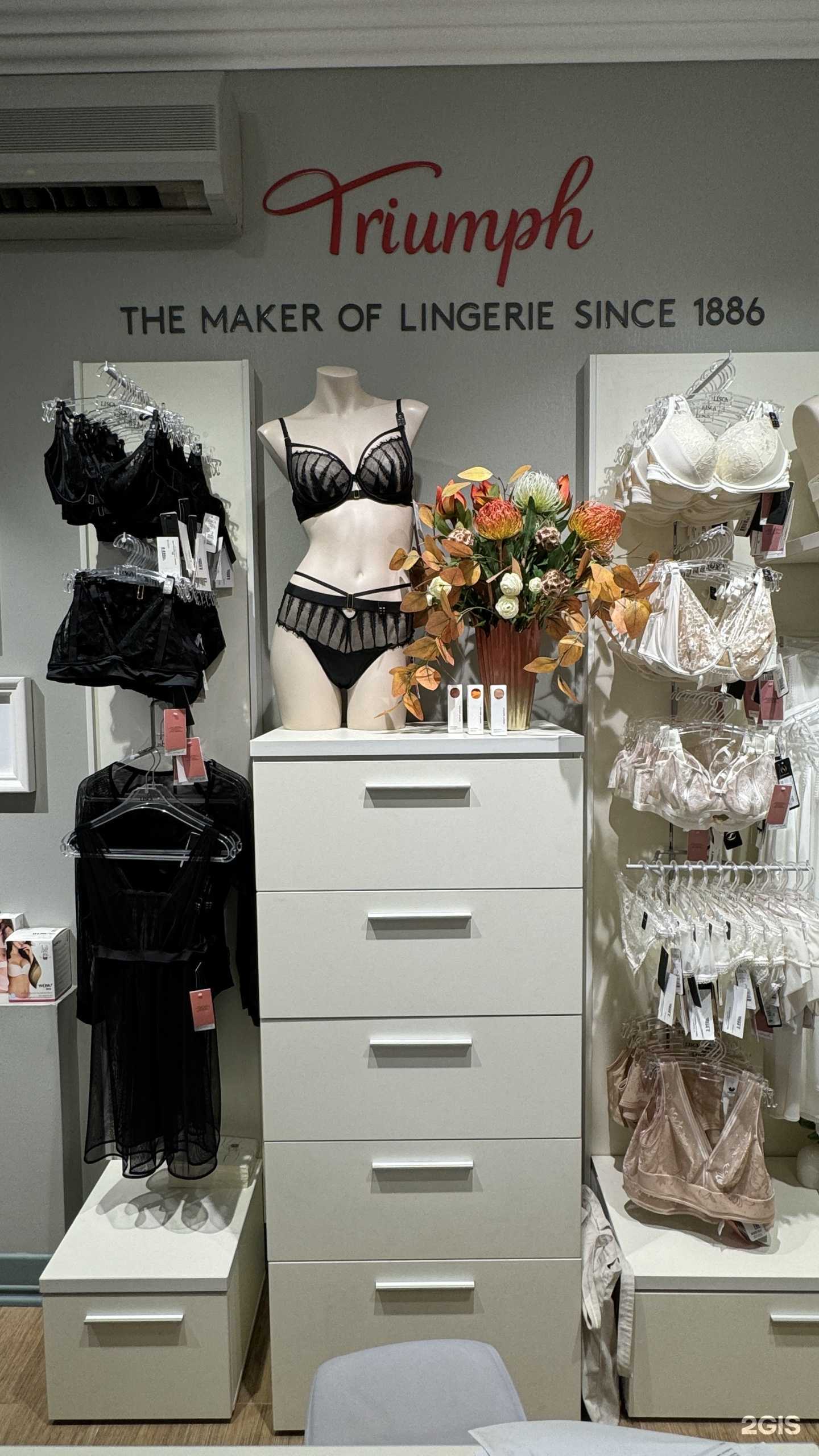 Отзывы на компанию Triumph в Новороссийске c фото