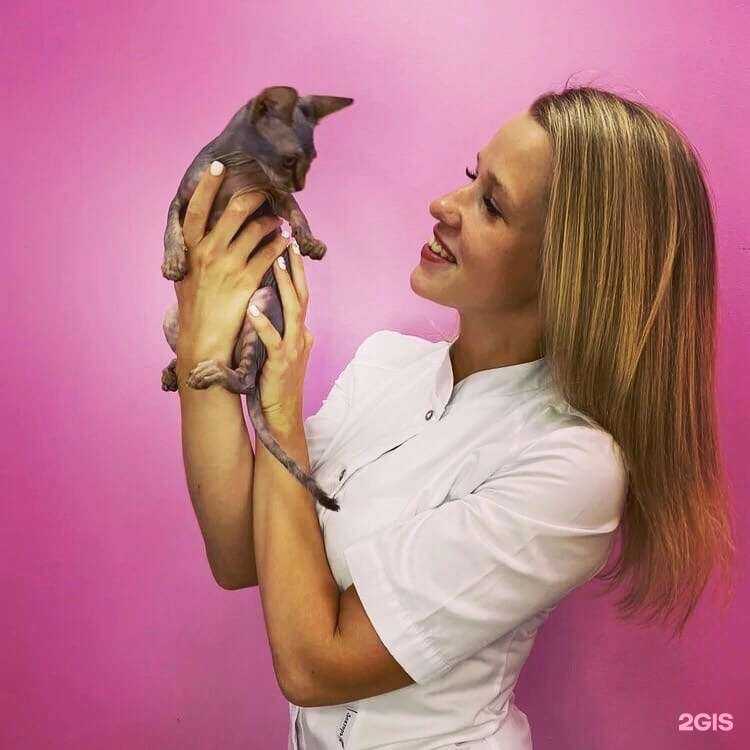 Отзывы на компанию Love shugar в г. Саратов c фото