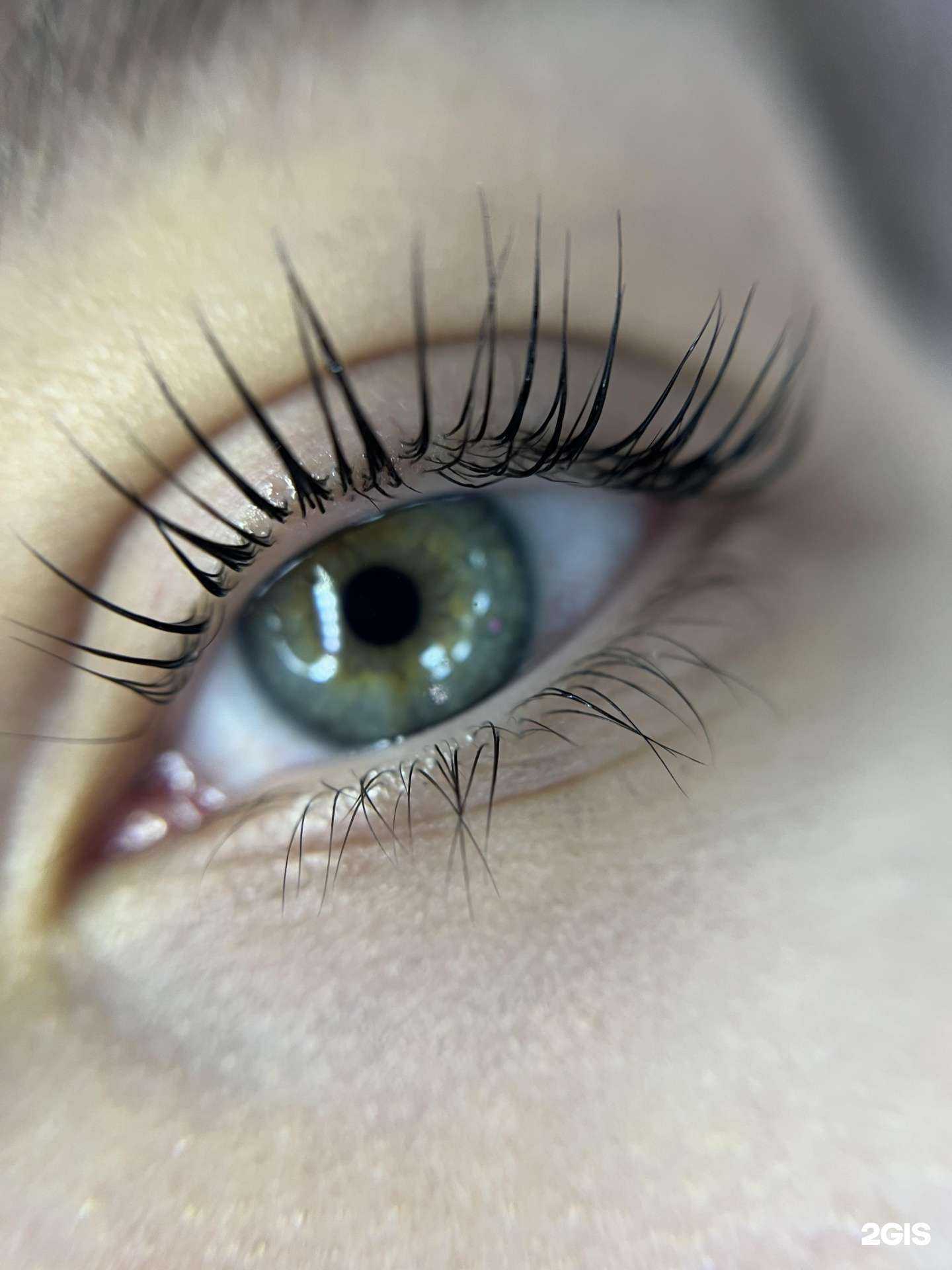 Отзывы на компанию Velvet в Иркутске c фото