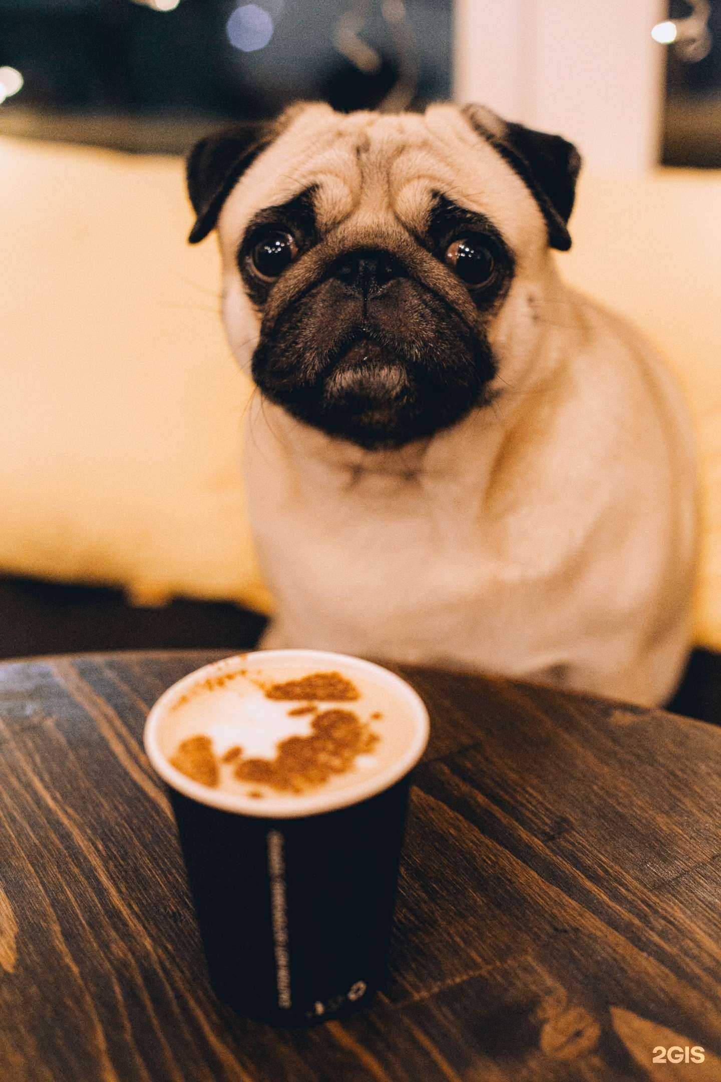 Отзывы на компанию Happy Bun в Сальске c фото