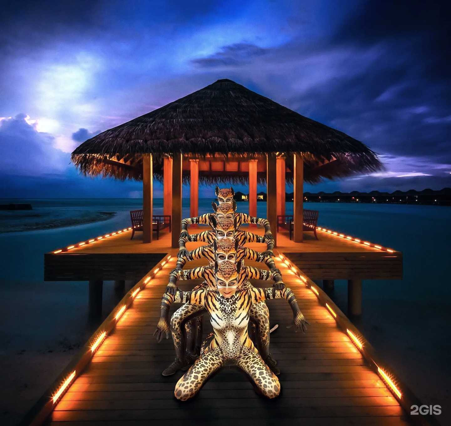 Отзывы на компанию Tropicana в Липецке c фото