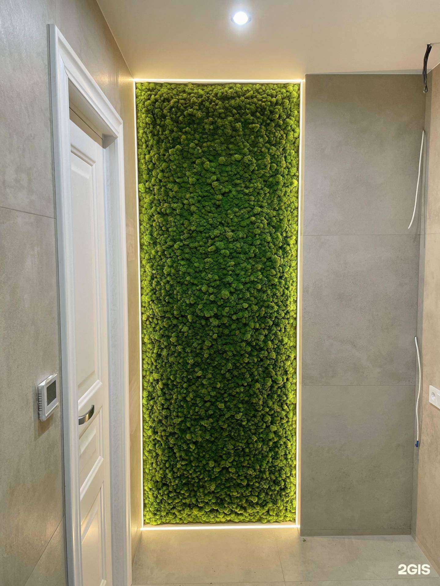 Отзывы на компанию Diamond Green в Краснодаре c фото