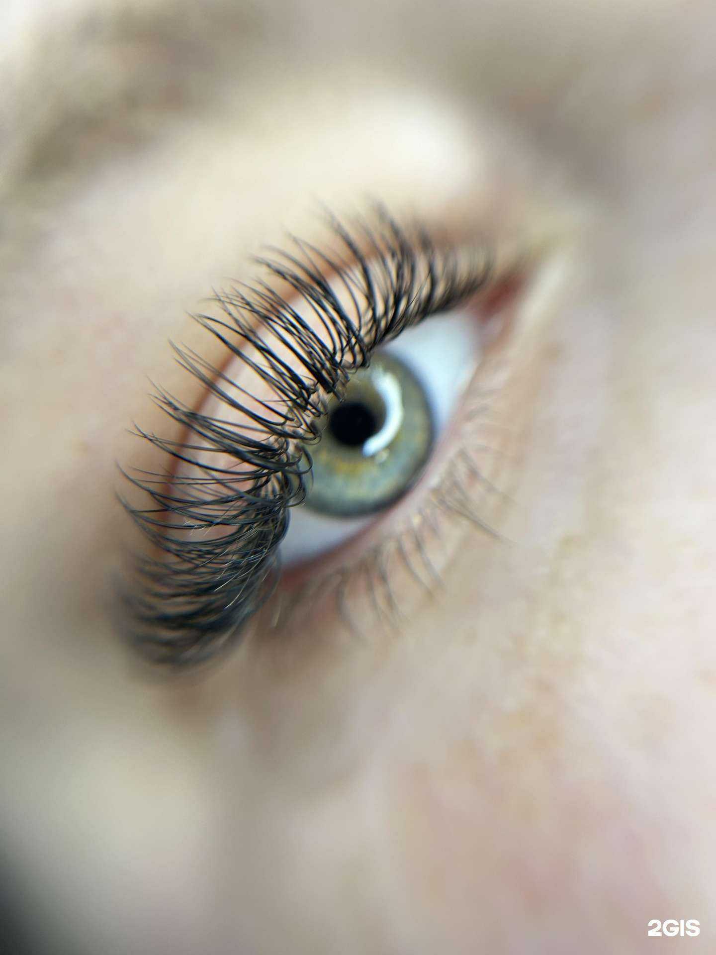 Отзывы на компанию Eyelash/Eyebrow Studio в Нижнем Тагиле c фото