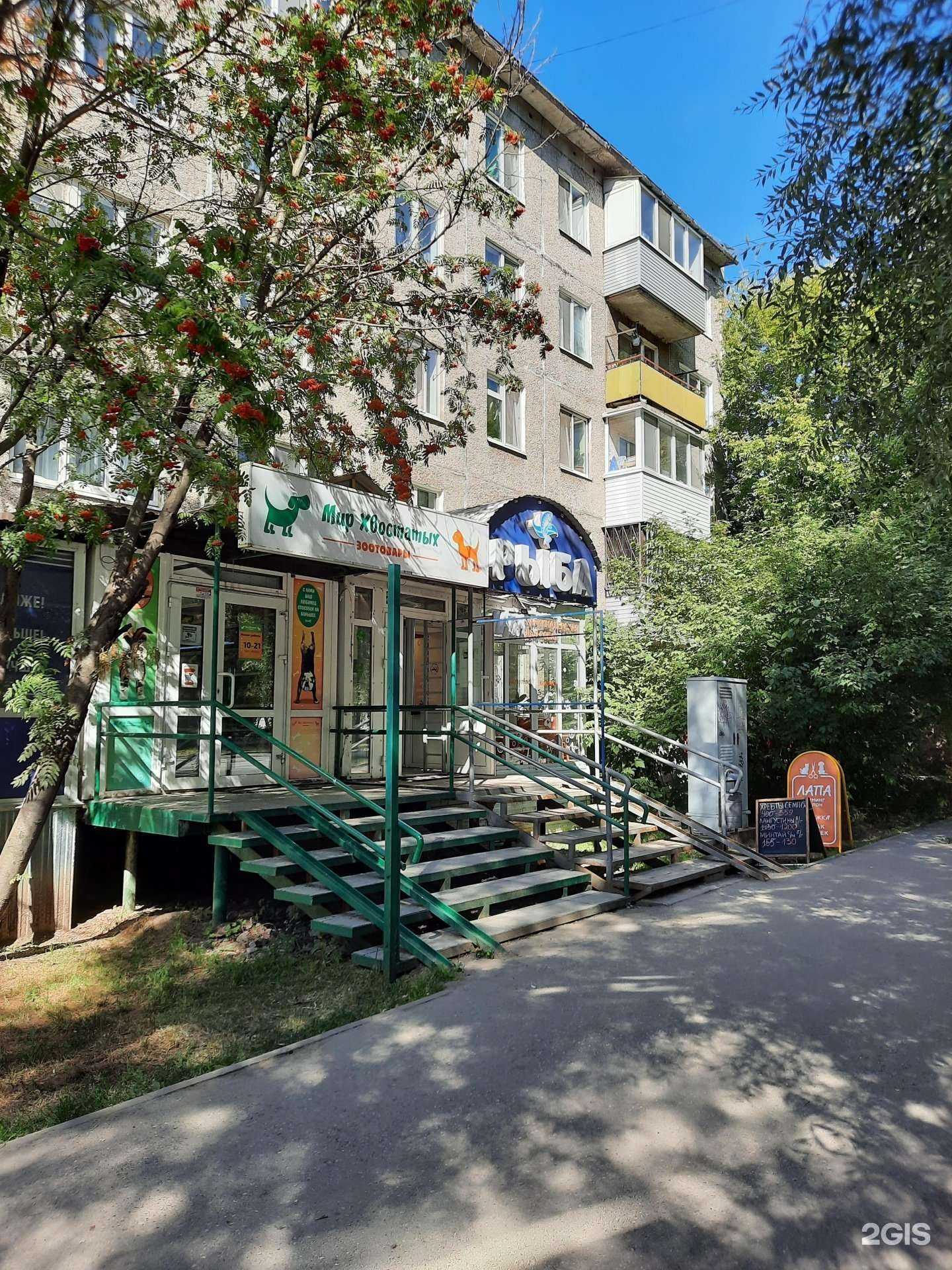 Отзывы на компанию Мир хвостатых в Перми c фото