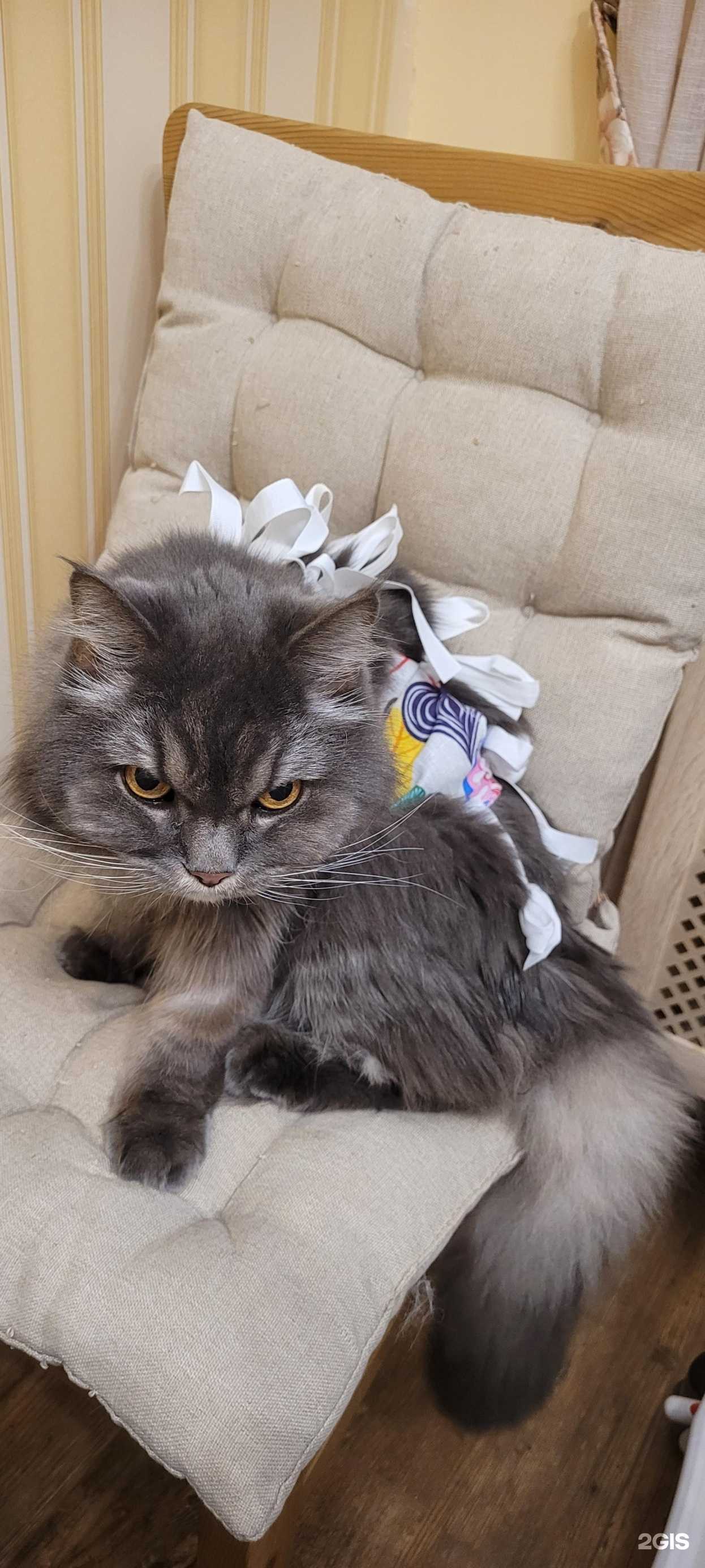 Отзывы на компанию Zooсфера в Анапе c фото