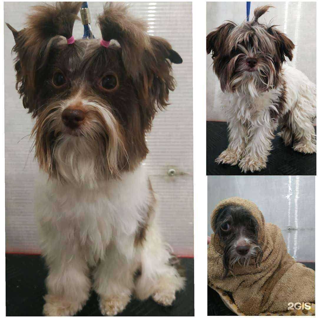 Отзывы на компанию Умка в Ижевске c фото