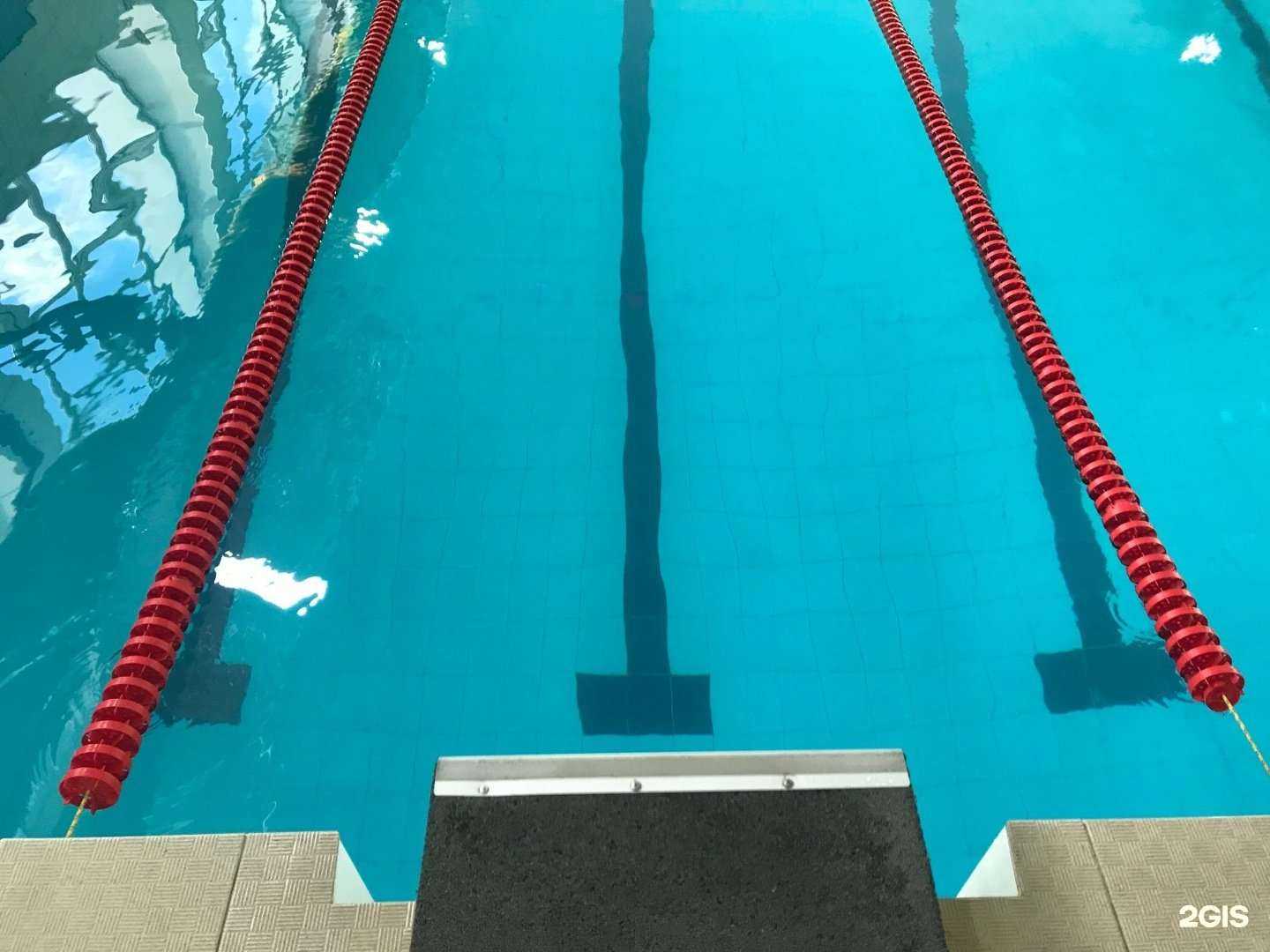 Отзывы на компанию Дельфин в Нижнем Тагиле c фото