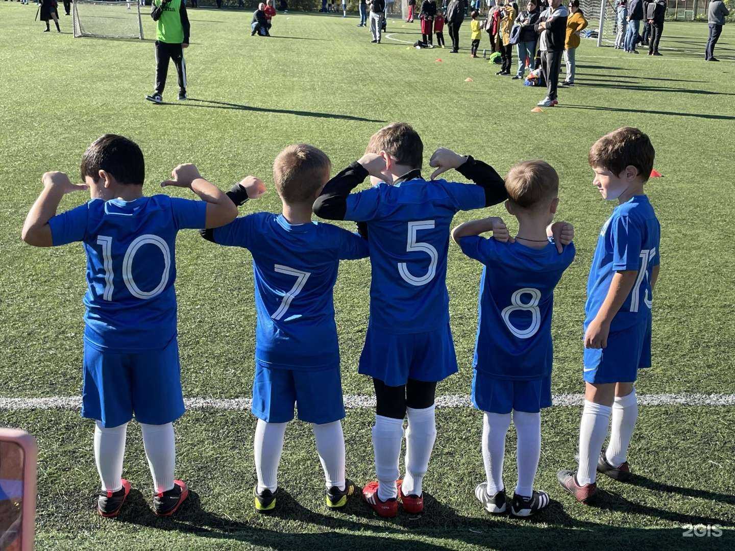 Отзывы на компанию Динамо в Сочи c фото