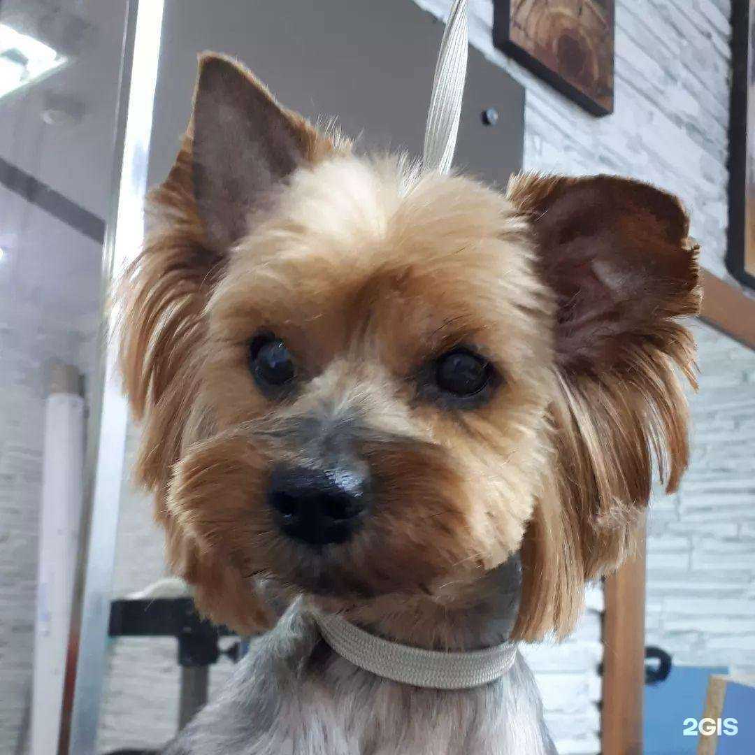 Отзывы на компанию Диана в Калининграде c фото