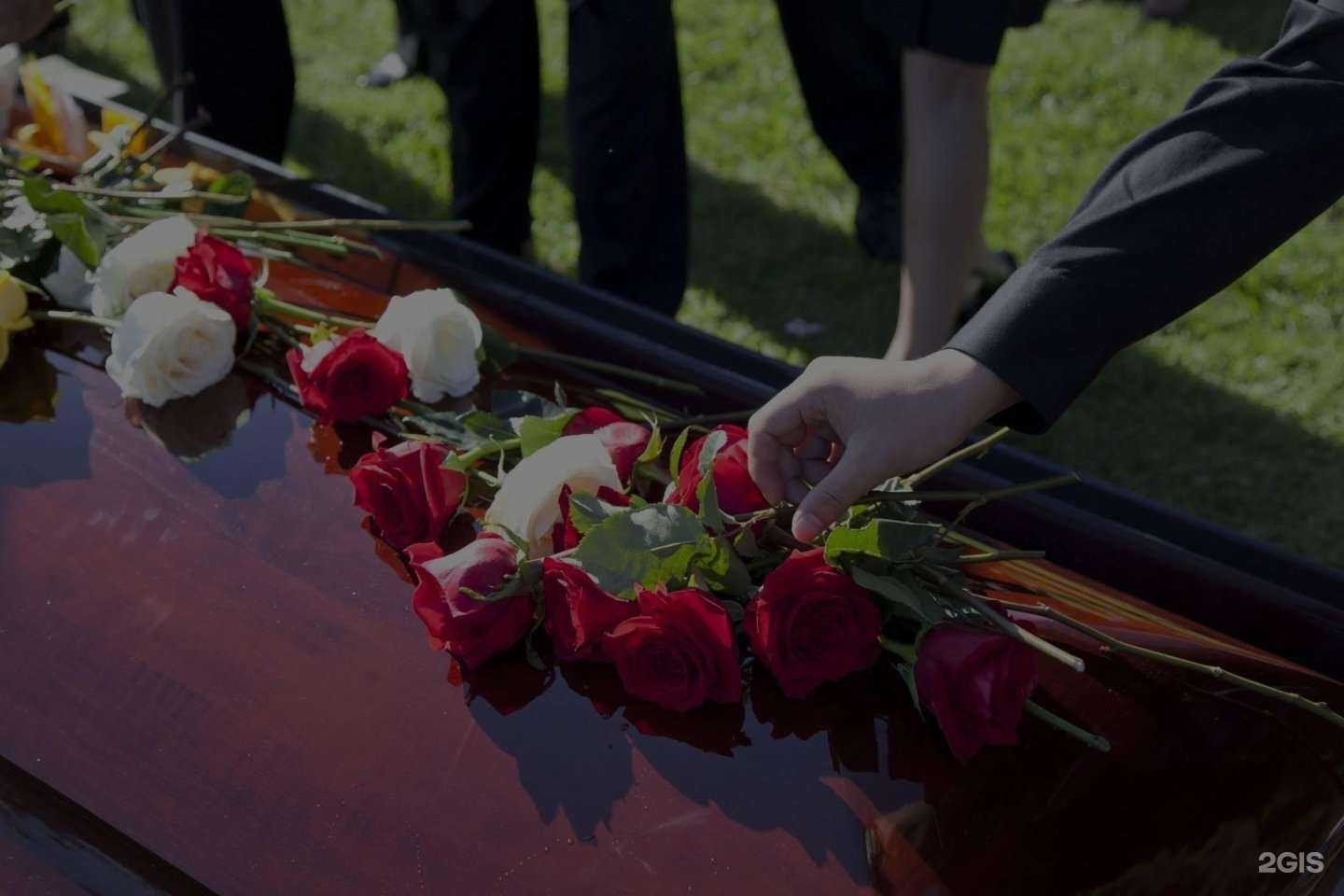 Отзывы на компанию Лотос-М в Петропавловске-Камчатском c фото