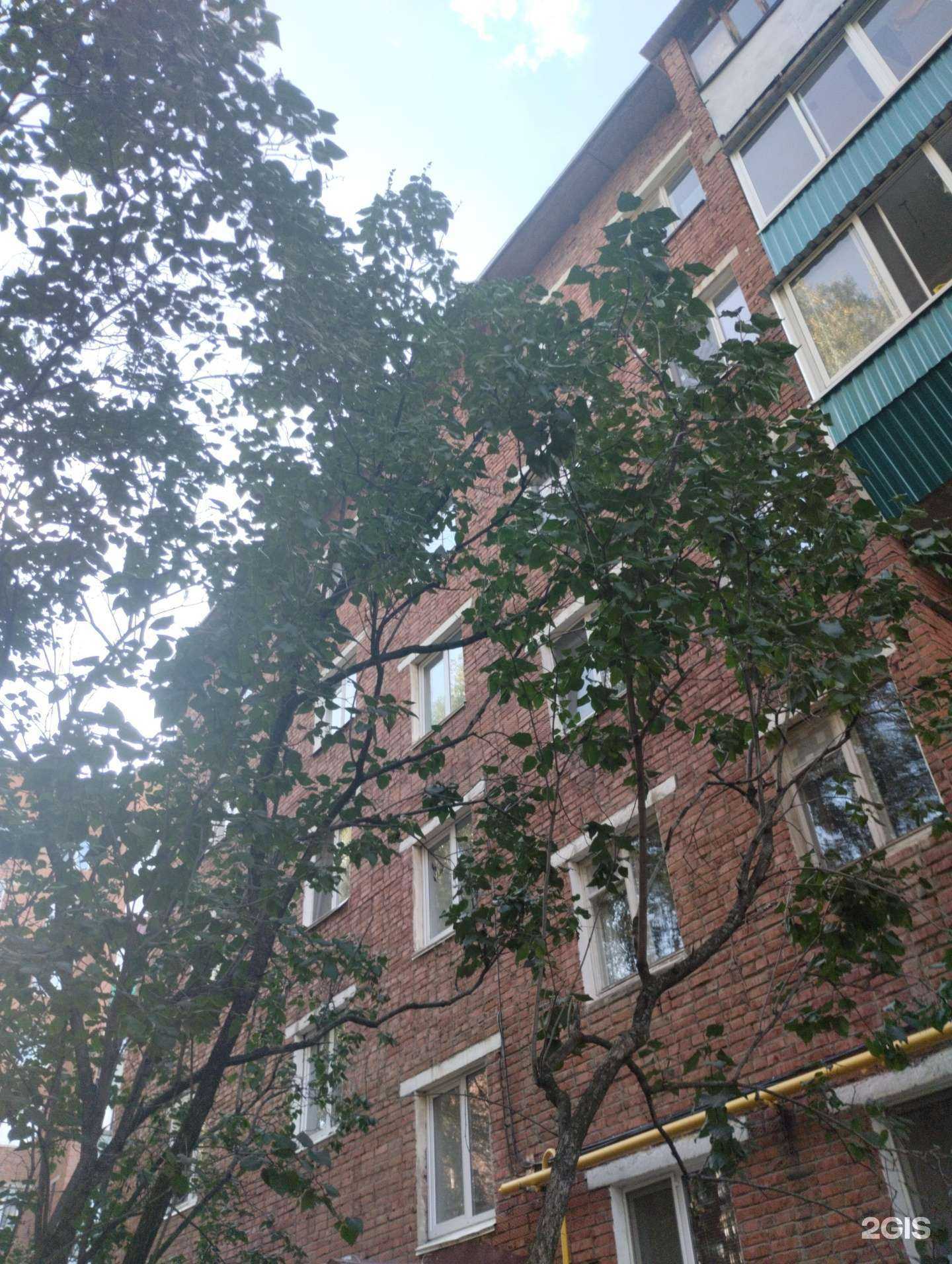 Отзывы на компанию Студия воздушных шаров в Сарапуле c фото - фотография 2 из 2