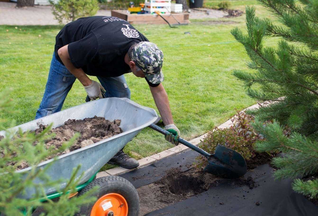 Отзывы на компанию Bramasole Studio в г. Новосибирск c фото