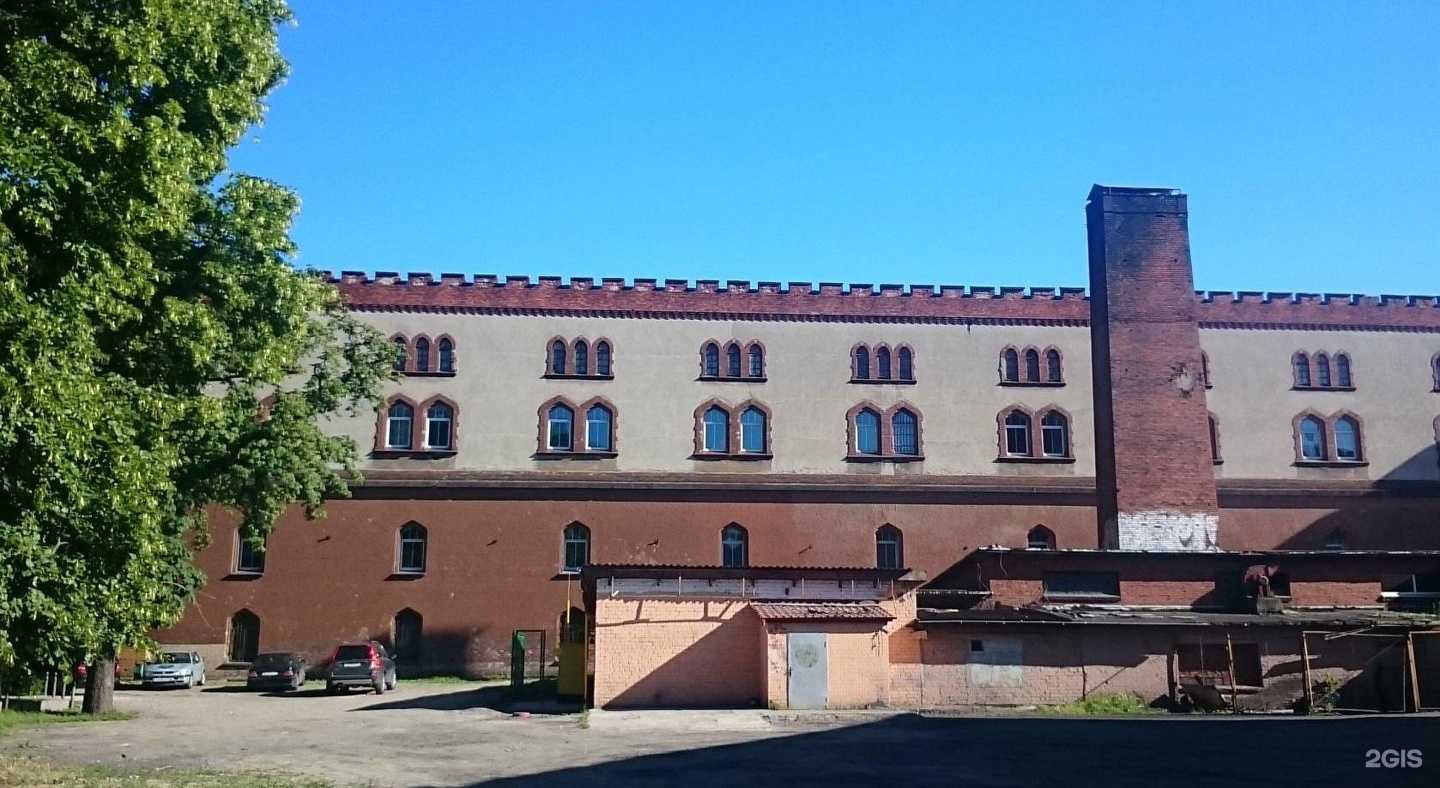 Отзывы на компанию Крылья в г. Калининград c фото