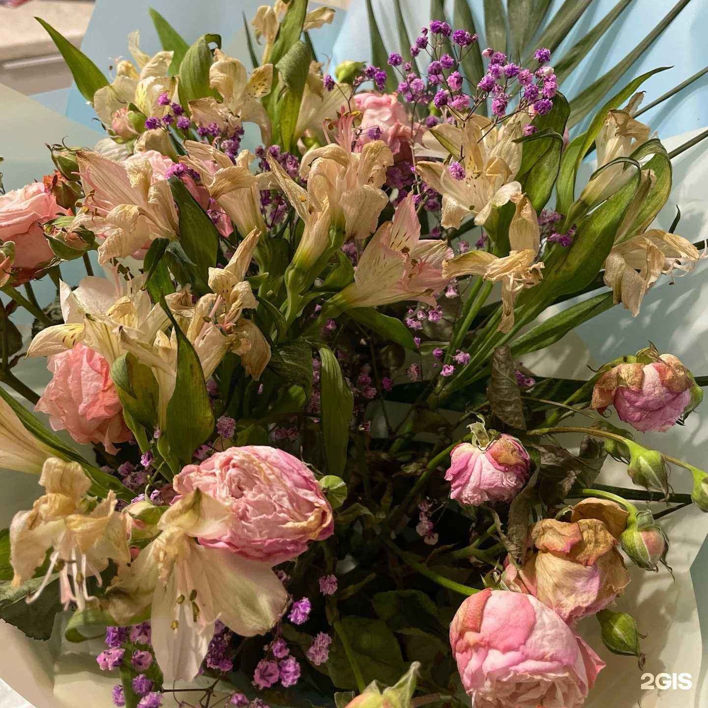 Отзывы на компанию Магазин цветов в Альметьевске c фото