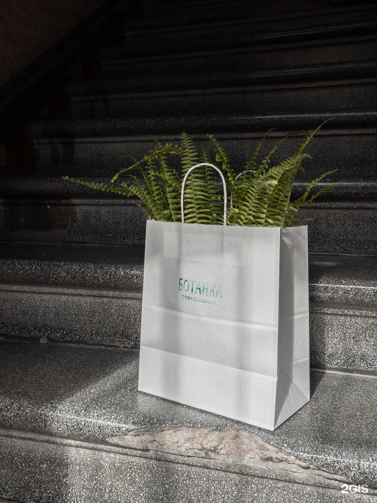 Отзывы на компанию Растенишная Ботанка в г. Краснодар c фото