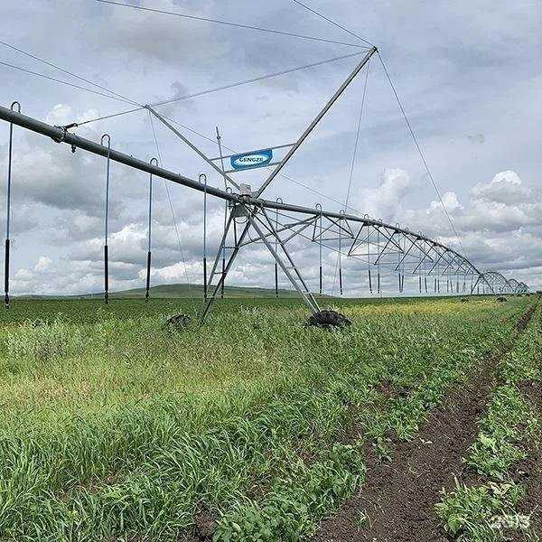 Отзывы на компанию Тевар в г. Волгоград c фото