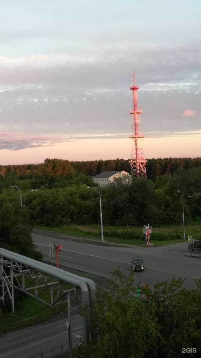 Отзывы на компанию Мамонов и Партнёры в Кемерове c фото - фотография 2 из 2