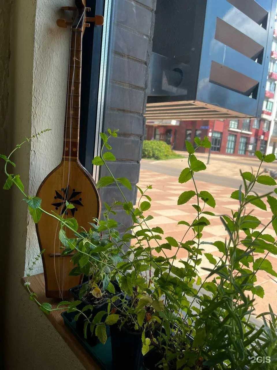 Отзывы на компанию Бэбо Чито в Коммунарке c фото