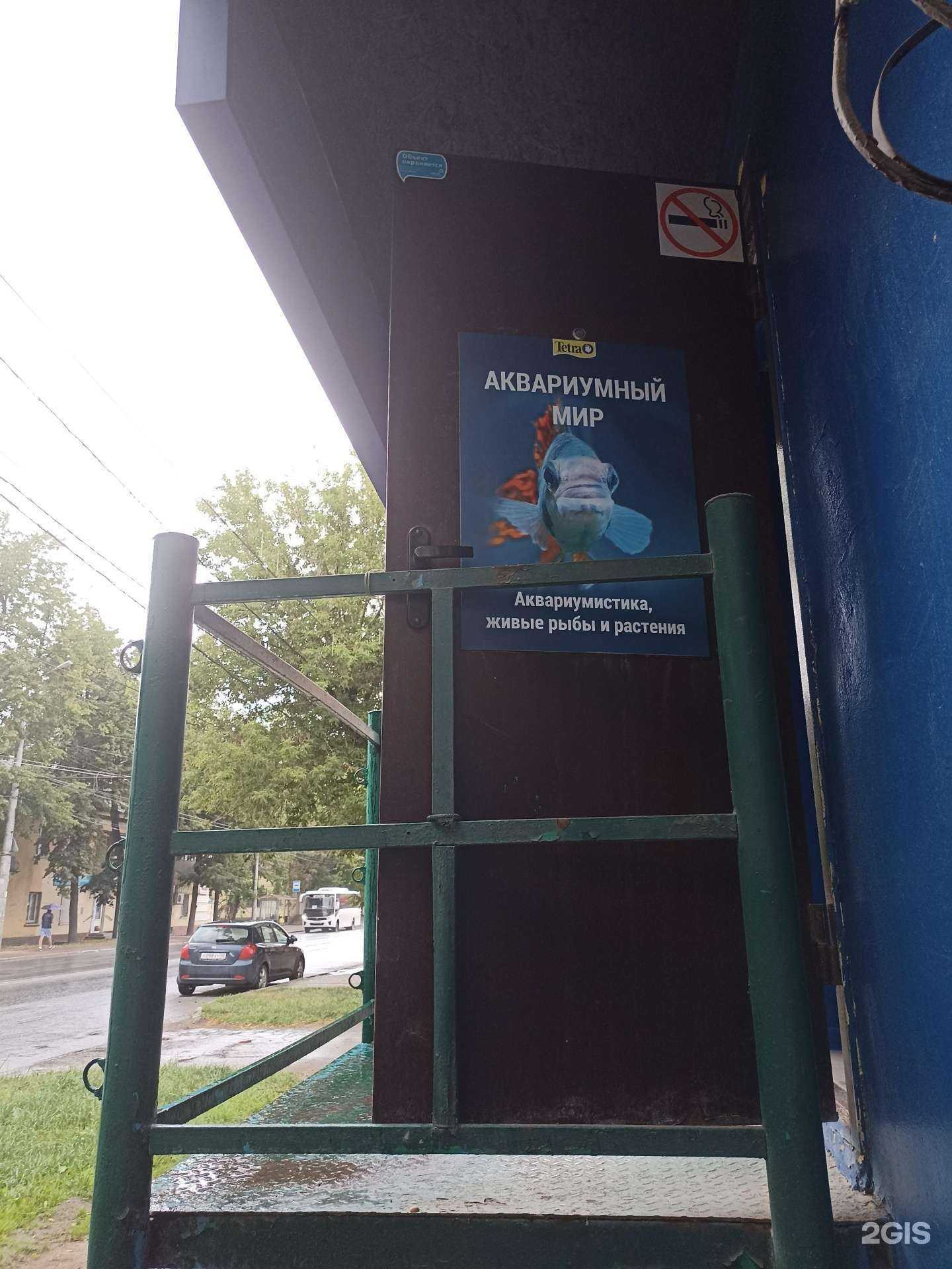 Отзывы на компанию Аквариумный мир в Калуге c фото