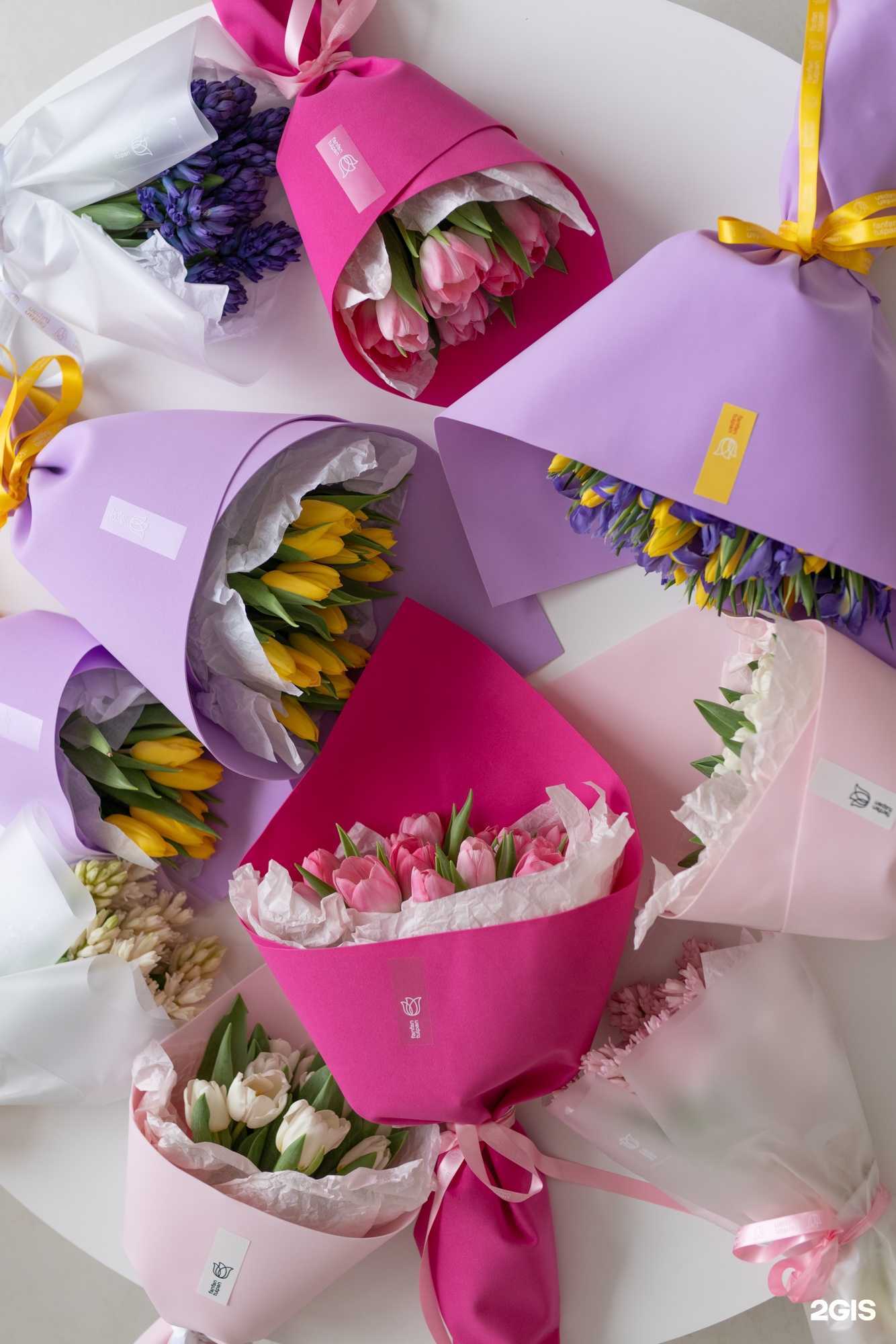 Отзывы на компанию Fan Fan Tulpan в г. Челябинск c фото