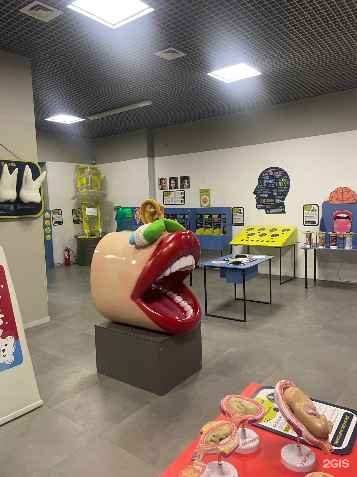 Отзывы на компанию Внутри человека в Новосибирске c фото