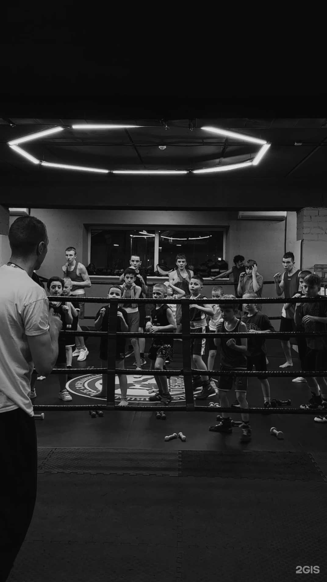 Отзывы на компанию Центр ММА в Тюмени c фото