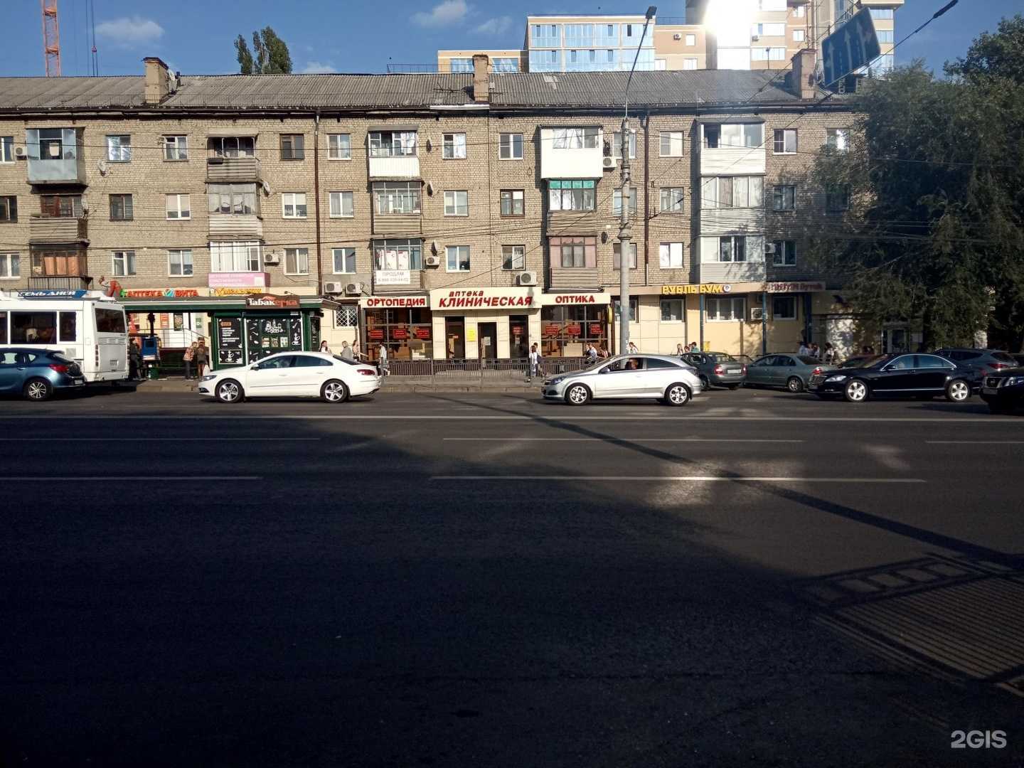 Отзывы на компанию Зооoстров в Воронеже c фото - фотография 2 из 2