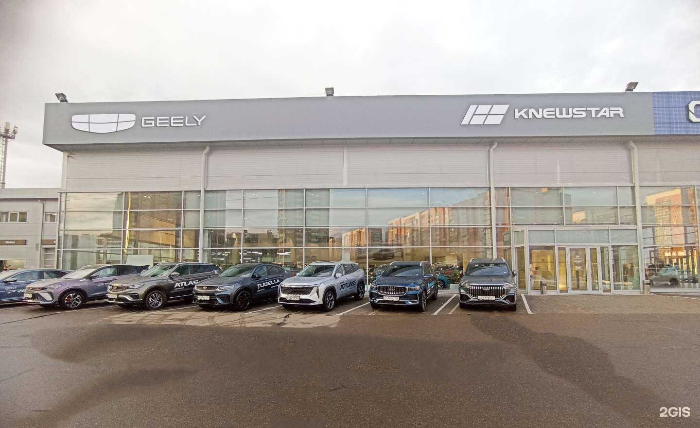 Отзывы на компанию Knewstar Медведь Альянс в Красноярске c фото