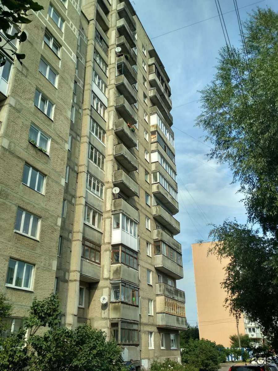 Отзывы на компанию Лапка в Калининграде c фото - фотография 2 из 2