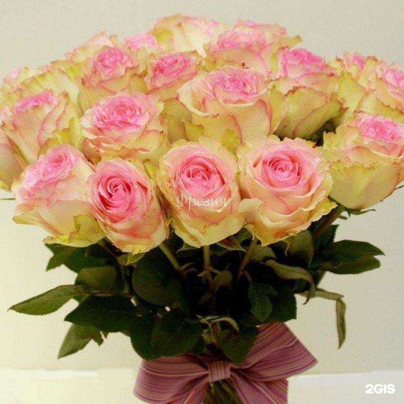 Отзывы на компанию Фрезия в Магнитогорске c фото