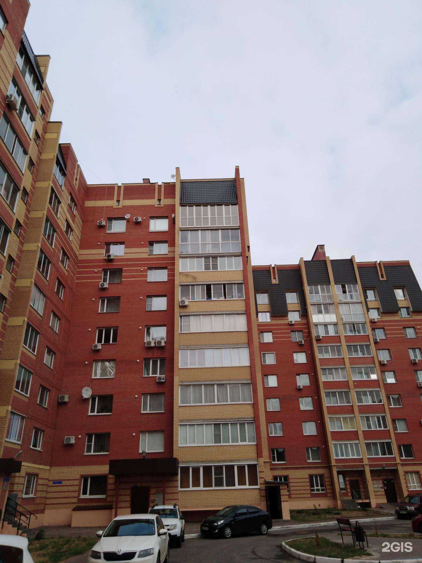 Отзывы на компанию Auris group в Тамбове c фото - фотография 2 из 2