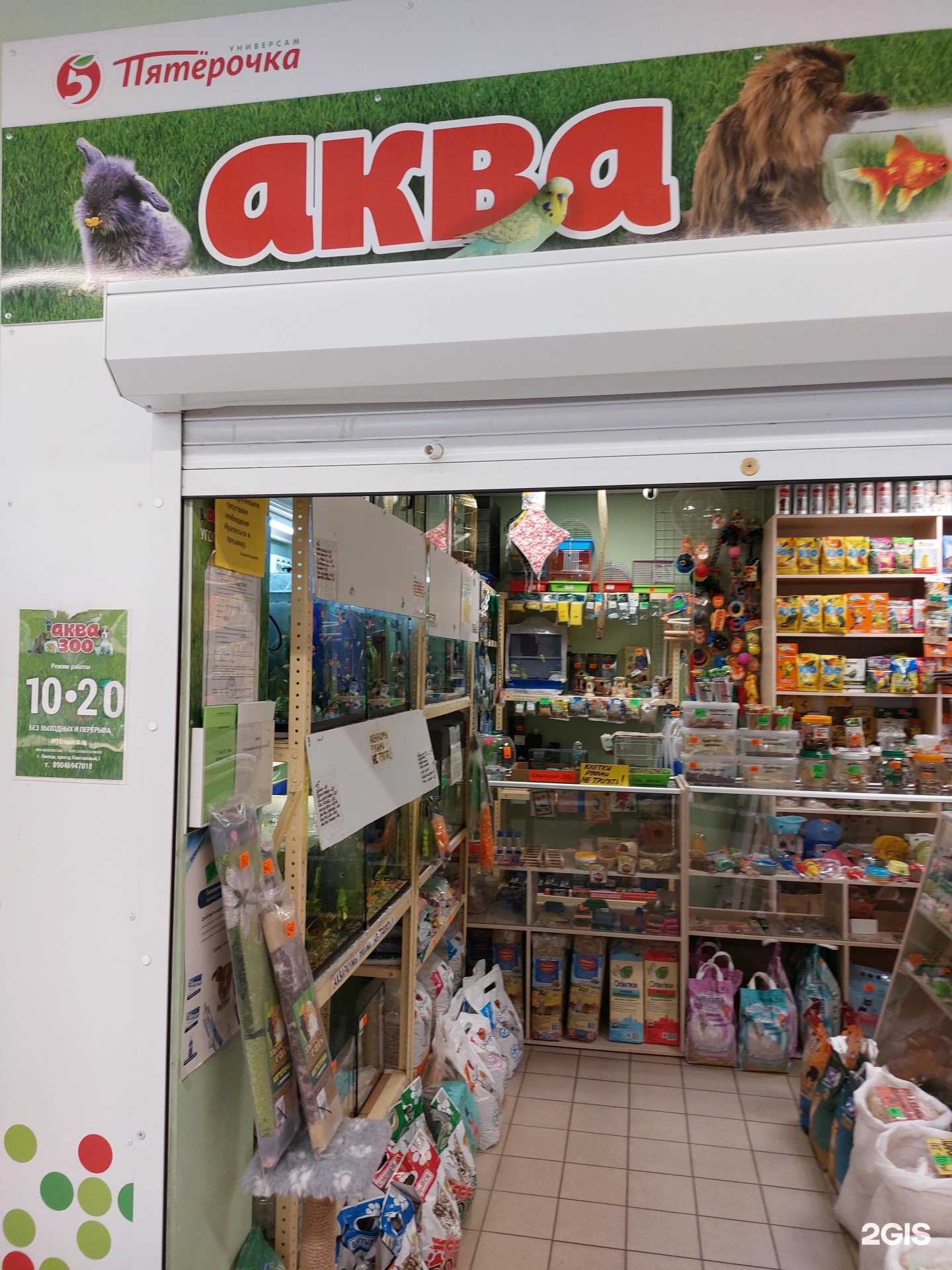 Отзывы на компанию Аква Zoo в Липецке c фото