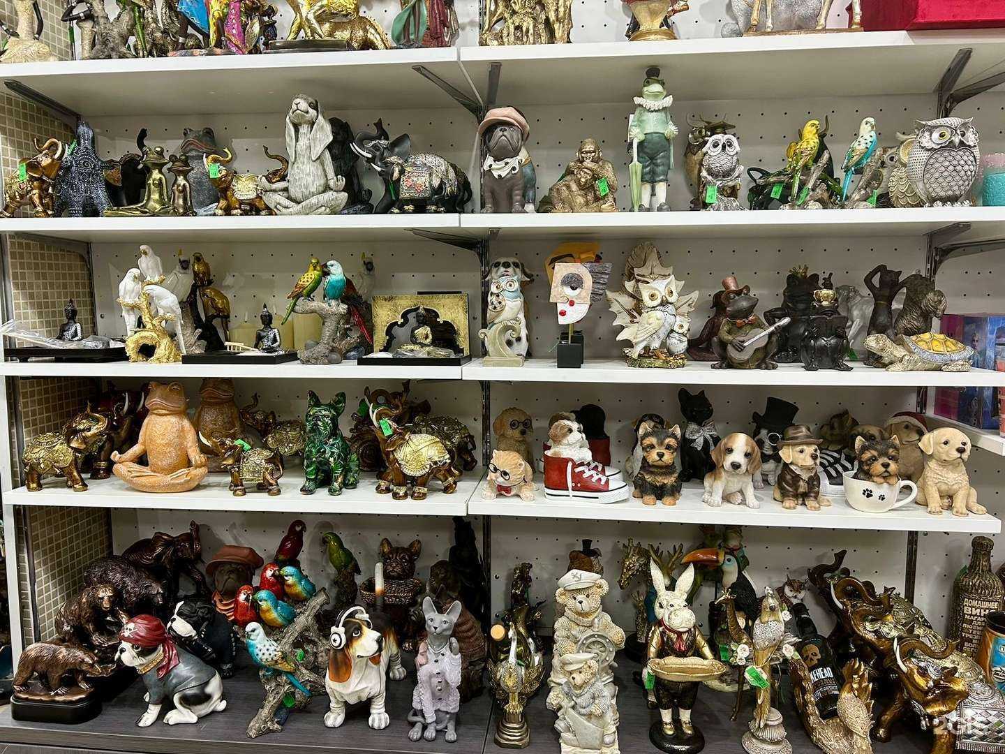 Отзывы на компанию Даррисимо в г. Краснодар c фото