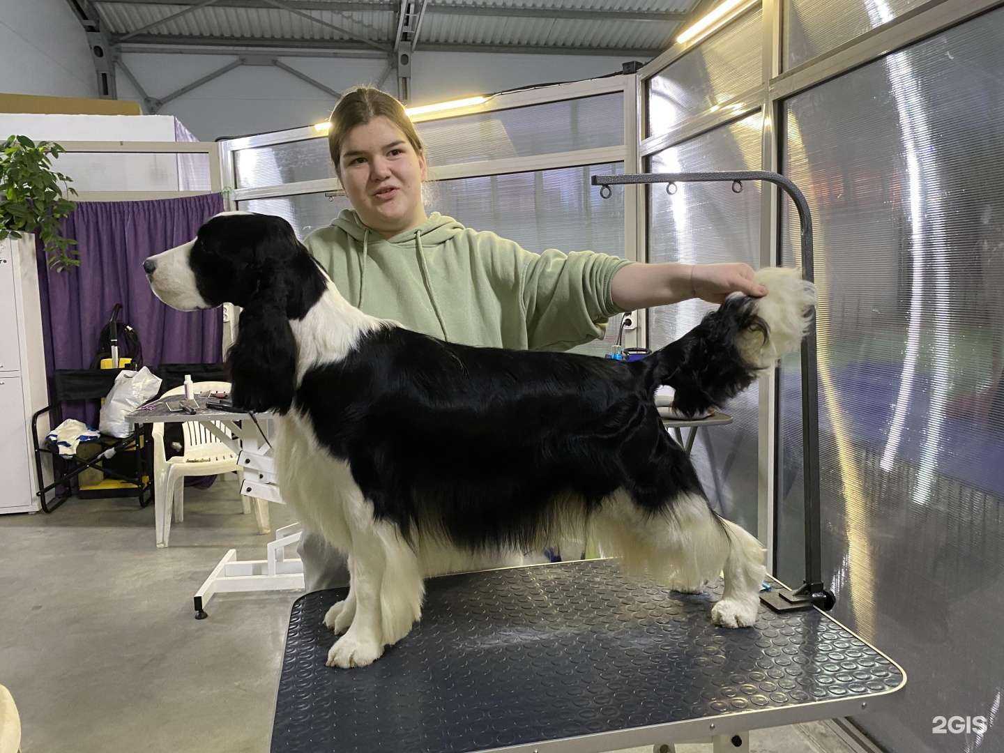 Отзывы на компанию Show craft в г. Красноярск c фото