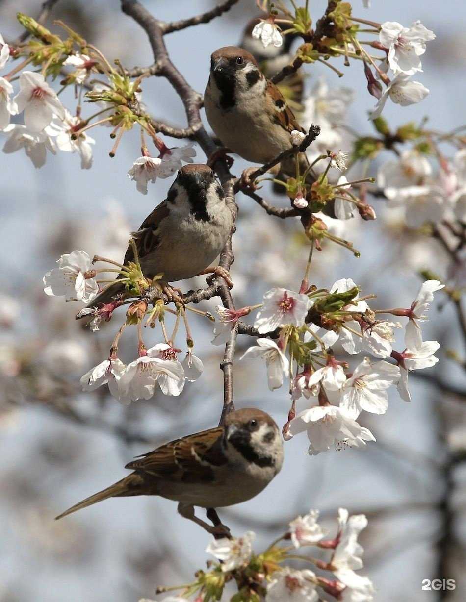 Отзывы на компанию Душевная в г. Зеленодольск c фото