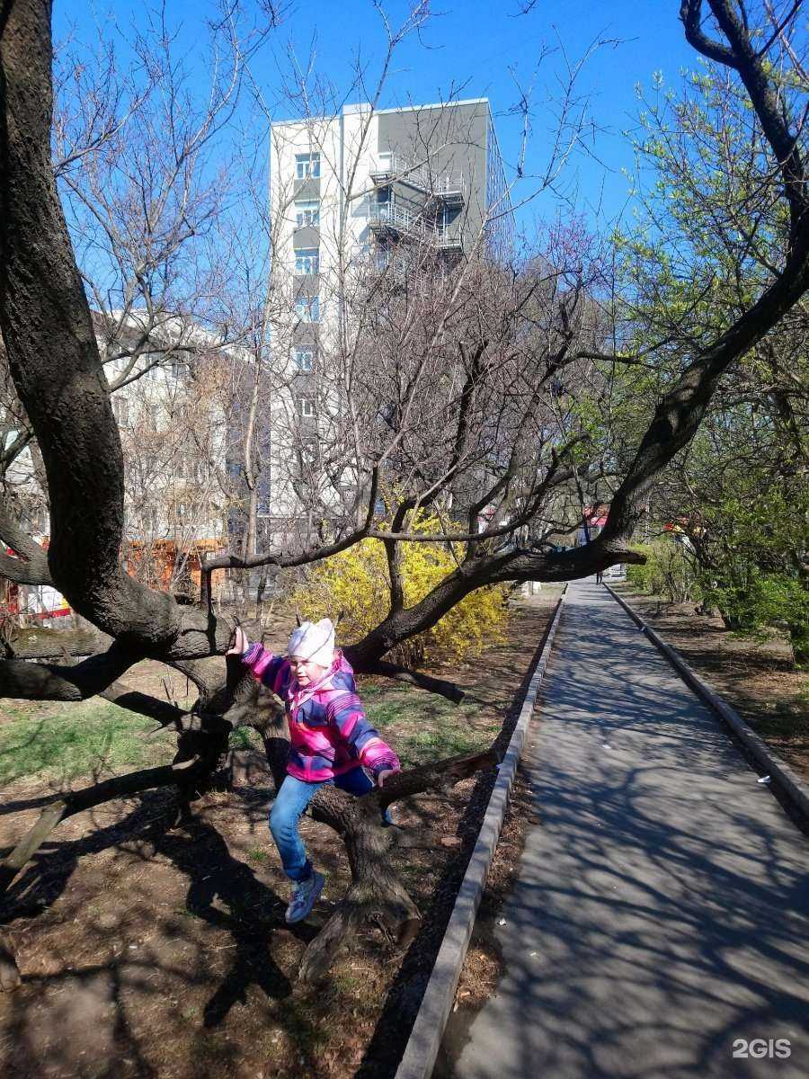 Отзывы на компанию Чудо-юдо в Владивостоке c фото - фотография 2 из 2