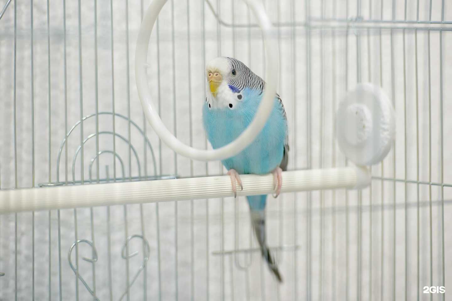 Отзывы на компанию Уфимская городская ветеринарная станция республики Башкортостан в Уфе c фото