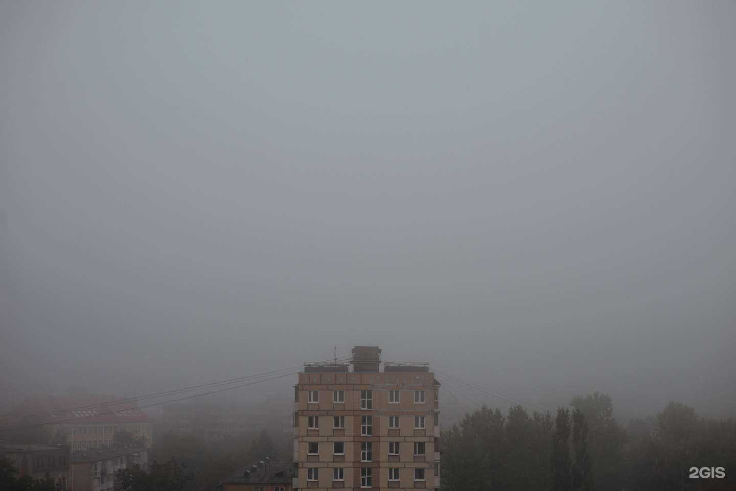 Отзывы на компанию Waves Collective в Калининграде c фото - фотография 2 из 2