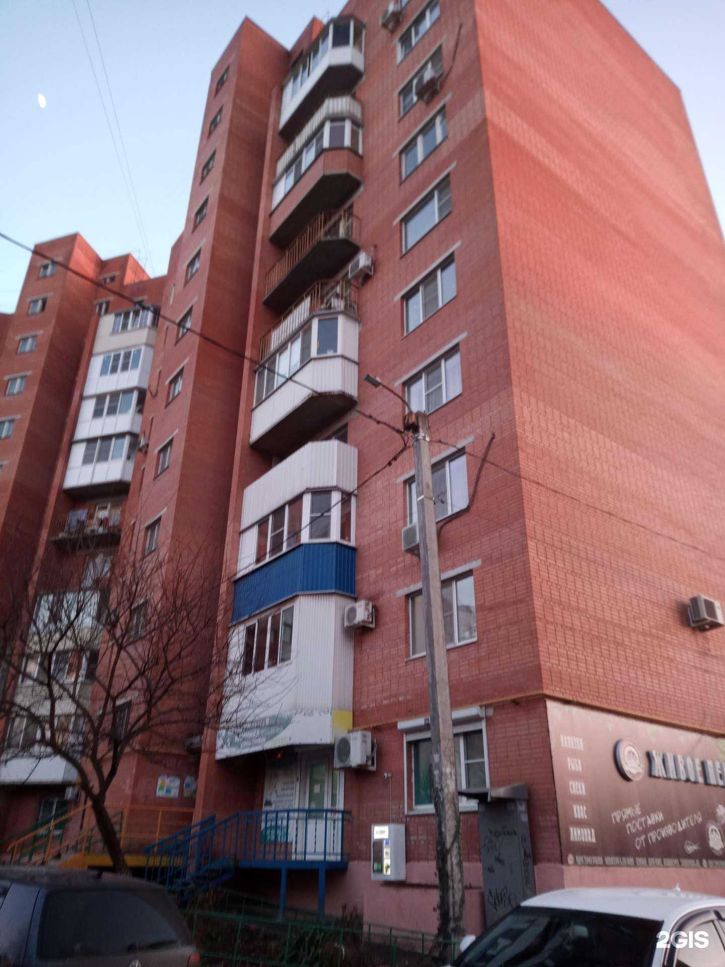 Отзывы на компанию Циветта в Ростове-на-Дону c фото - фотография 2 из 2